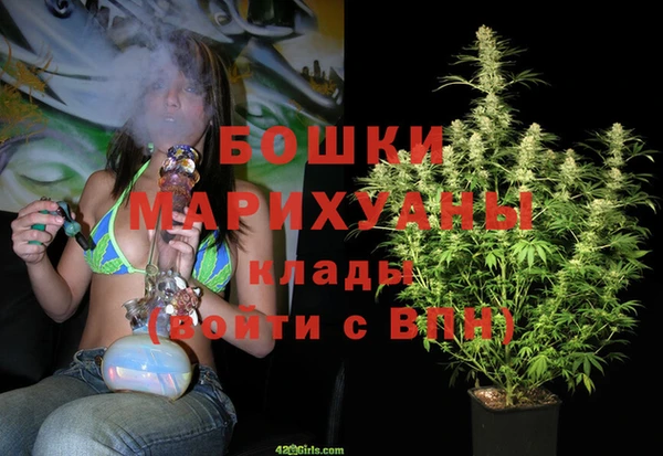ПСИЛОЦИБИНОВЫЕ ГРИБЫ Горняк