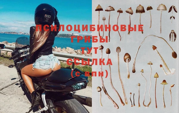 a pvp Горно-Алтайск