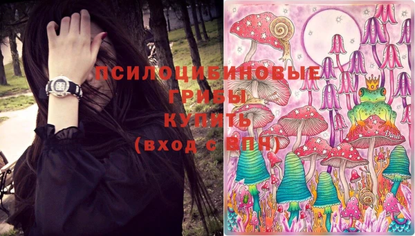 a pvp Горно-Алтайск