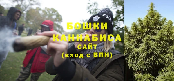 ПСИЛОЦИБИНОВЫЕ ГРИБЫ Горняк