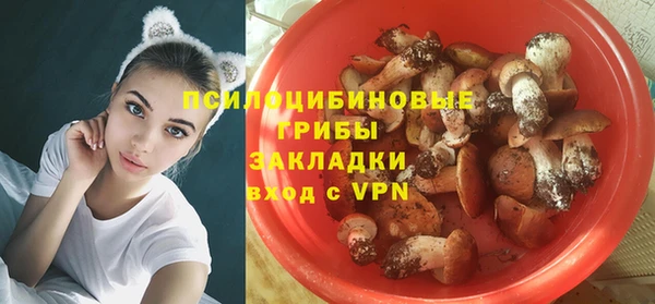 a pvp Горно-Алтайск