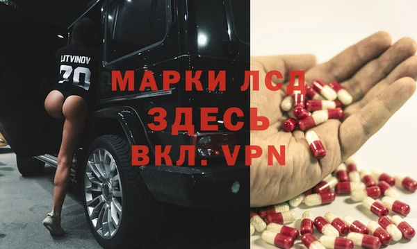 ПСИЛОЦИБИНОВЫЕ ГРИБЫ Горняк