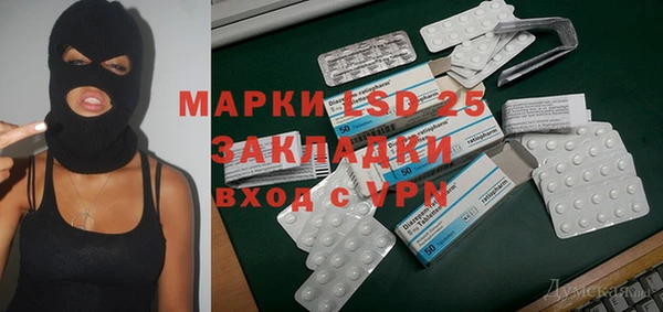 ПСИЛОЦИБИНОВЫЕ ГРИБЫ Горняк