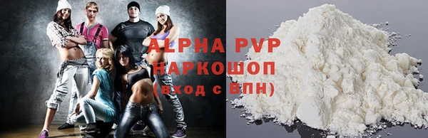 ПСИЛОЦИБИНОВЫЕ ГРИБЫ Горняк